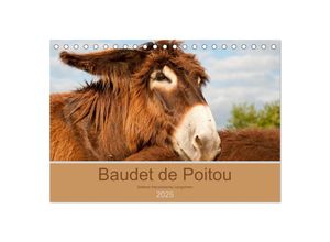 9783435395514 - Baudet de Poitou - Seltene französische Langohren (Tischkalender 2025 DIN A5 quer) CALVENDO Monatskalender