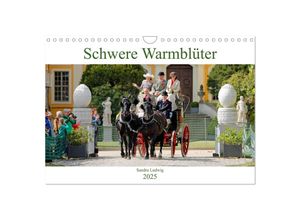 9783435395590 - Schwere Warmblüter 2025 (Wandkalender 2025 DIN A4 quer) CALVENDO Monatskalender