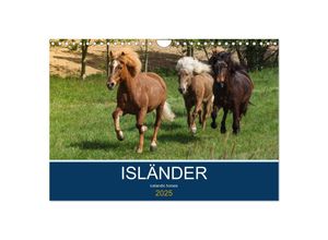 9783435396207 - Isländer - icelandic horses (Wandkalender 2025 DIN A4 quer) CALVENDO Monatskalender