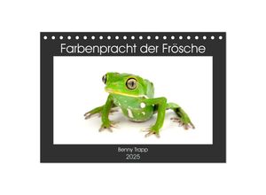 9783435397921 - Farbenpracht der Frösche (Tischkalender 2025 DIN A5 quer) CALVENDO Monatskalender