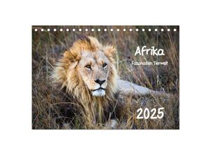 9783435398690 - Afrika - Faszination Tierwelt (Tischkalender 2025 DIN A5 quer) CALVENDO Monatskalender