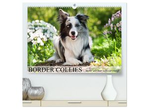 9783435438853 - Border Collies - nicht nur schwarzweiß (hochwertiger Premium Wandkalender 2025 DIN A2 quer) Kunstdruck in Hochglanz