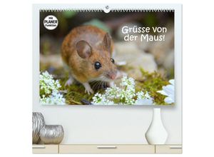 9783435438938 - Grüsse von der Maus! (hochwertiger Premium Wandkalender 2025 DIN A2 quer) Kunstdruck in Hochglanz