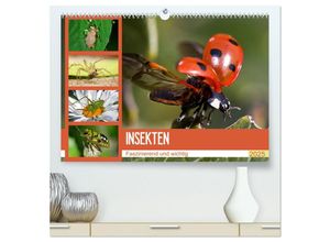 9783435440238 - Insekten Faszinierend und wichtig (hochwertiger Premium Wandkalender 2025 DIN A2 quer) Kunstdruck in Hochglanz