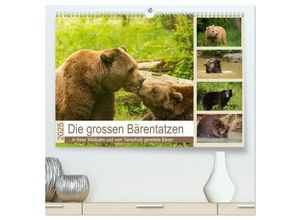 9783435441204 - Die grossen Bärentatzen (hochwertiger Premium Wandkalender 2025 DIN A2 quer) Kunstdruck in Hochglanz