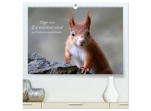 9783435442904 - Tipps von Eichhörnchen an Eichhörnchenliebhaber (hochwertiger Premium Wandkalender 2025 DIN A2 quer) Kunstdruck in Hochglanz