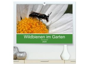 9783435442959 - Wildbienen im Garten (hochwertiger Premium Wandkalender 2025 DIN A2 quer) Kunstdruck in Hochglanz