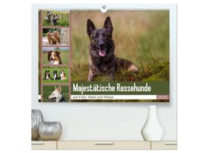 9783435443277 - Mäjestätische Rassehunde auf Feld Wald und Wiese (hochwertiger Premium Wandkalender 2025 DIN A2 quer) Kunstdruck in Hochglanz