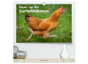 9783435444984 - Neues von den Gartenhühnern (hochwertiger Premium Wandkalender 2025 DIN A2 quer) Kunstdruck in Hochglanz