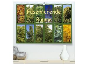 9783435447008 - Faszinierende Bäume (hochwertiger Premium Wandkalender 2025 DIN A2 quer) Kunstdruck in Hochglanz