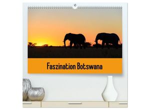 9783435447428 - Faszination Botswana (hochwertiger Premium Wandkalender 2025 DIN A2 quer) Kunstdruck in Hochglanz