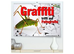 9783435449200 - Graffiti trifft auf Fotografie (hochwertiger Premium Wandkalender 2025 DIN A2 quer) Kunstdruck in Hochglanz