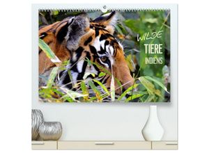 9783435450435 - Wilde Tiere Indiens (hochwertiger Premium Wandkalender 2025 DIN A2 quer) Kunstdruck in Hochglanz