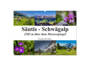 9783435450541 - Säntis - Schwägalp (Wandkalender 2025 DIN A2 quer) CALVENDO Monatskalender