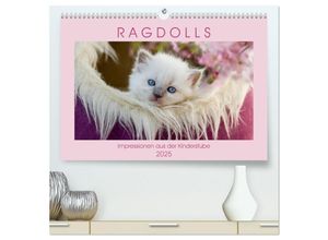 9783435451869 - RAGDOLLS Impressionen aus der Kinderstube (hochwertiger Premium Wandkalender 2025 DIN A2 quer) Kunstdruck in Hochglanz