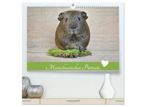 9783435452378 - Meerschweinchen Portraits (hochwertiger Premium Wandkalender 2025 DIN A2 quer) Kunstdruck in Hochglanz