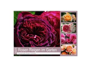 9783435452743 - Rosen Reigen im Garten (Wandkalender 2025 DIN A2 quer) CALVENDO Monatskalender