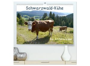 9783435453344 - Schwarzwald-Kühe - Die Hinterwälder (hochwertiger Premium Wandkalender 2025 DIN A2 quer) Kunstdruck in Hochglanz