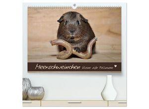 9783435453535 - Meerschweinchen - Kleine süße Fellnasen (hochwertiger Premium Wandkalender 2025 DIN A2 quer) Kunstdruck in Hochglanz