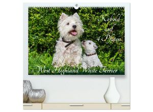 9783435456390 - Kobold auf 4 Pfoten - West Highland White Terrier (hochwertiger Premium Wandkalender 2025 DIN A2 quer) Kunstdruck in Hochglanz