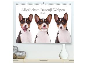 9783435458011 - Allerliebste Basenji Welpen 2025 (hochwertiger Premium Wandkalender 2025 DIN A2 quer) Kunstdruck in Hochglanz