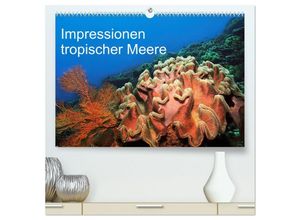 9783435459803 - Impressionen tropischer Meere (hochwertiger Premium Wandkalender 2025 DIN A2 quer) Kunstdruck in Hochglanz