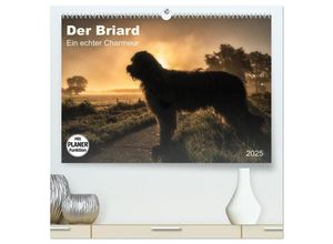 9783435461738 - Der Briard 2025 - Ein echter Charmeur (hochwertiger Premium Wandkalender 2025 DIN A2 quer) Kunstdruck in Hochglanz