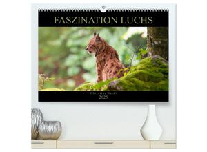 9783435463640 - Faszination Luchs (hochwertiger Premium Wandkalender 2025 DIN A2 quer) Kunstdruck in Hochglanz