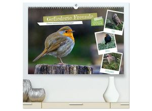 9783435463985 - Gefiederte Freunde - Unsere heimischen Gartenvögel (hochwertiger Premium Wandkalender 2025 DIN A2 quer) Kunstdruck in Hochglanz