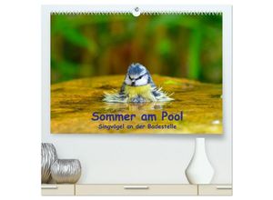 9783435464067 - Sommer am Pool - Singvögel an der Badestelle (hochwertiger Premium Wandkalender 2025 DIN A2 quer) Kunstdruck in Hochglanz