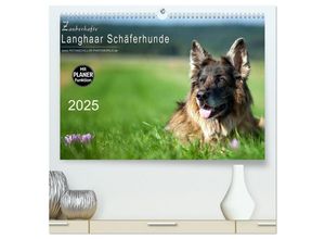 9783435465378 - Zauberhafte Langhaar Schäferhunde (hochwertiger Premium Wandkalender 2025 DIN A2 quer) Kunstdruck in Hochglanz