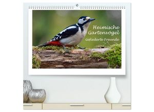 9783435465866 - Heimische Gartenvögel - Gefiederte Freunde (hochwertiger Premium Wandkalender 2025 DIN A2 quer) Kunstdruck in Hochglanz