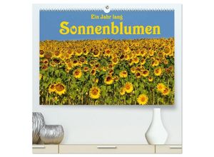 9783435467655 - Ein Jahr lang Sonnenblumen (hochwertiger Premium Wandkalender 2025 DIN A2 quer) Kunstdruck in Hochglanz