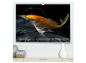 9783435468560 - Nishikigoi - Koikarpfen in ihrer Welt (hochwertiger Premium Wandkalender 2025 DIN A2 quer) Kunstdruck in Hochglanz