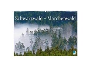 9783435468904 - Schwarzwald - Märchenwald (Wandkalender 2025 DIN A2 quer) CALVENDO Monatskalender