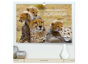 9783435473663 - Wildes Leben in Botswana (hochwertiger Premium Wandkalender 2025 DIN A2 quer) Kunstdruck in Hochglanz