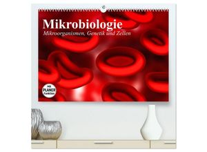 9783435473700 - Mikrobiologie Mikroorganismen Genetik und Zellen (hochwertiger Premium Wandkalender 2025 DIN A2 quer) Kunstdruck in Hochglanz