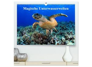 9783435476008 - Magische Unterwasserwelten (hochwertiger Premium Wandkalender 2025 DIN A2 quer) Kunstdruck in Hochglanz