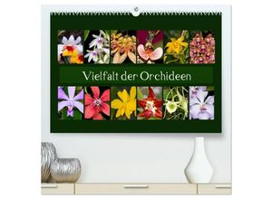 9783435477180 - Vielfalt der Orchideen (hochwertiger Premium Wandkalender 2025 DIN A2 quer) Kunstdruck in Hochglanz