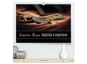 9783435480227 - Costa Rica - Reptilien und Amphibien (hochwertiger Premium Wandkalender 2025 DIN A2 quer) Kunstdruck in Hochglanz