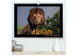 9783435482528 - AfriCats (hochwertiger Premium Wandkalender 2025 DIN A2 quer) Kunstdruck in Hochglanz