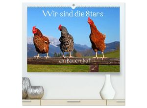 9783435482665 - Wir sind die Stars am Bauernhof (hochwertiger Premium Wandkalender 2025 DIN A2 quer) Kunstdruck in Hochglanz