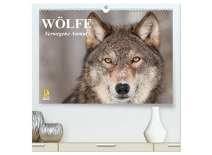 9783435486236 - Wölfe Verwegene Anmut (hochwertiger Premium Wandkalender 2025 DIN A2 quer) Kunstdruck in Hochglanz