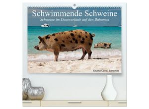 9783435486281 - Schwimmende Schweine (hochwertiger Premium Wandkalender 2025 DIN A2 quer) Kunstdruck in Hochglanz