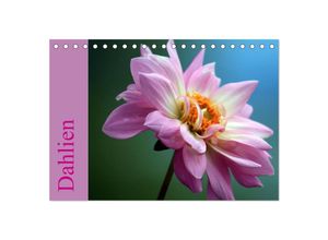 9783435488568 - Dahlien (Tischkalender 2025 DIN A5 quer) CALVENDO Monatskalender