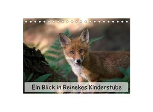 9783435489435 - Ein Blick in Reinekes Kinderstube (Tischkalender 2025 DIN A5 quer) CALVENDO Monatskalender