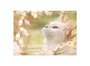 9783435490646 - Katzen 2025 Bezaubernde Samtpfoten (Tischkalender 2025 DIN A5 quer) CALVENDO Monatskalender