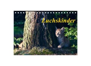 9783435491131 - Luchskinder (Tischkalender 2025 DIN A5 quer) CALVENDO Monatskalender