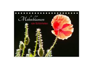 9783435493500 - Mohnblumen - rote Schönheiten (Tischkalender 2025 DIN A5 quer) CALVENDO Monatskalender