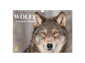 9783435498130 - Wölfe Verwegene Anmut (Wandkalender 2025 DIN A4 quer) CALVENDO Monatskalender